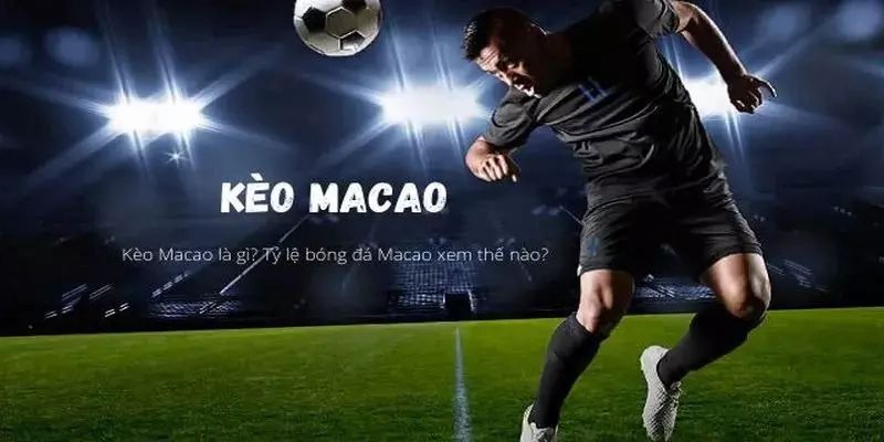 Tỷ lệ kèo Macao yếu tố
